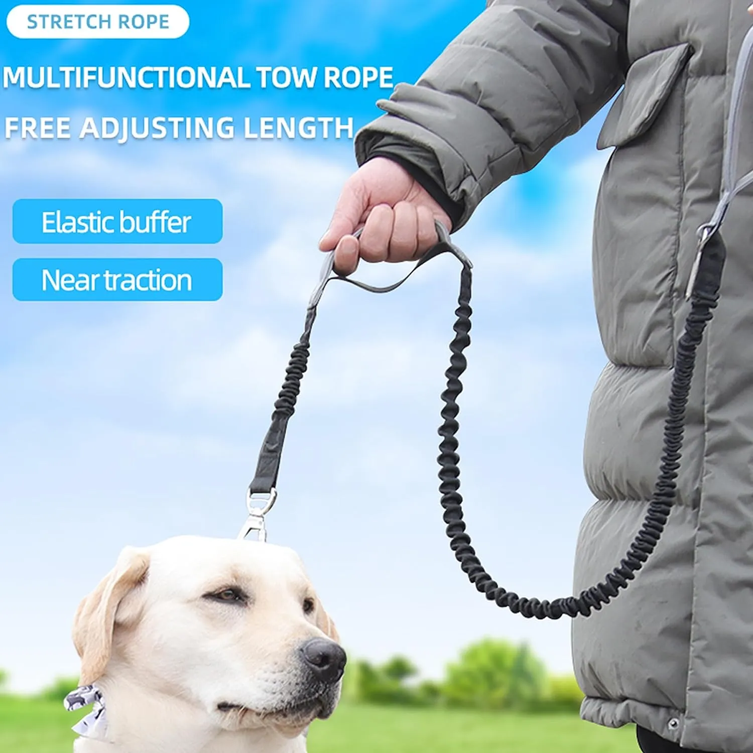 2 in 1 Dog Bungee Leash & Car Seatbelt-Black