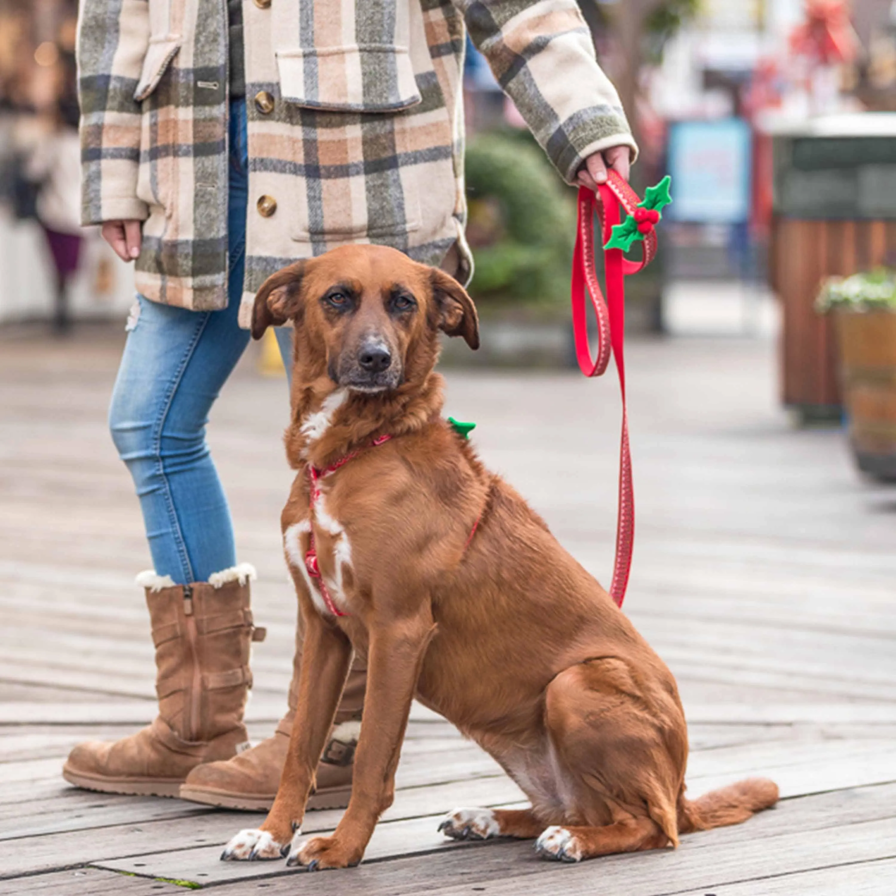 Christmas Zigzag Chevron Dog Leash