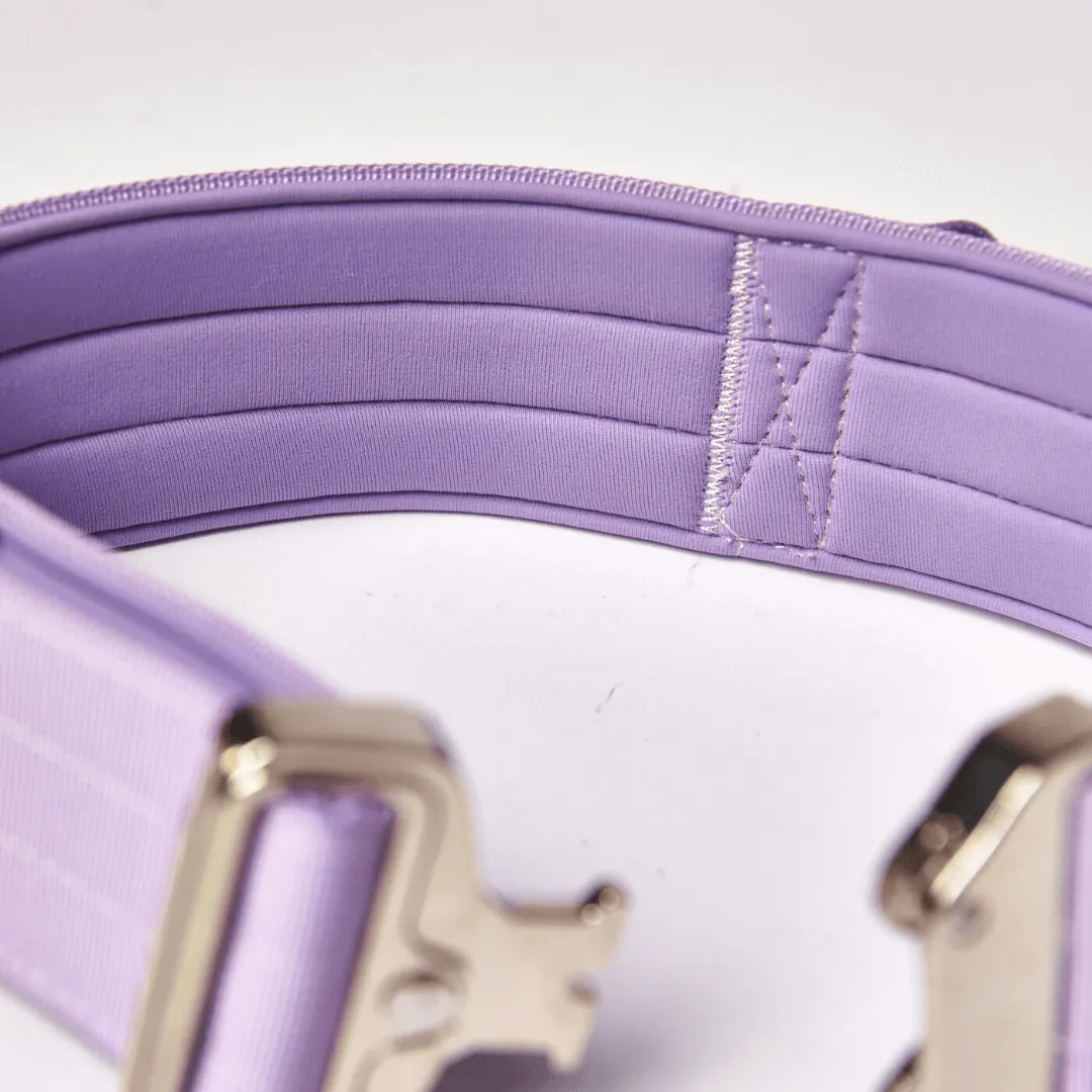 Comfort Control Collar - Lilac