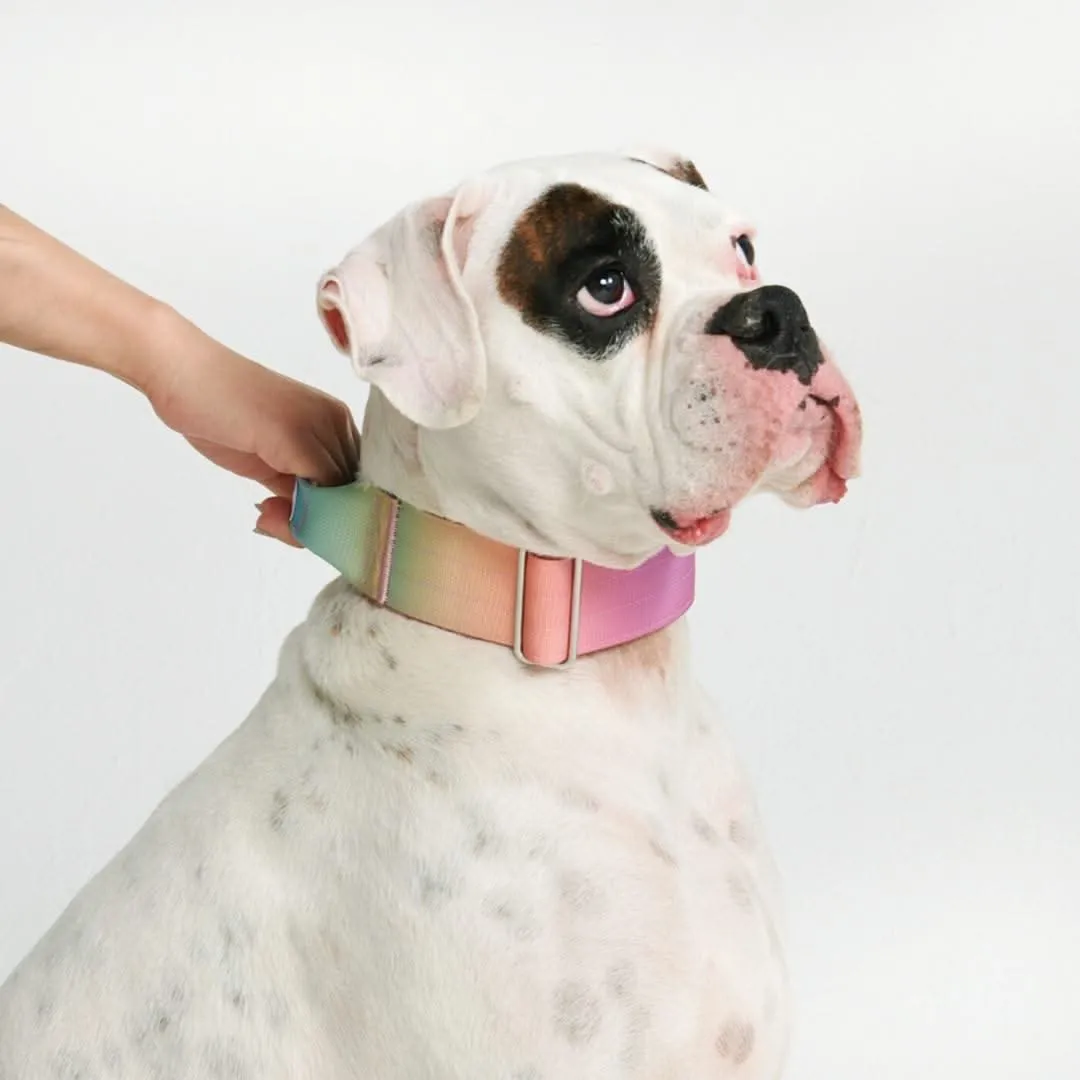 Comfort Control Collar - Pastel Icing