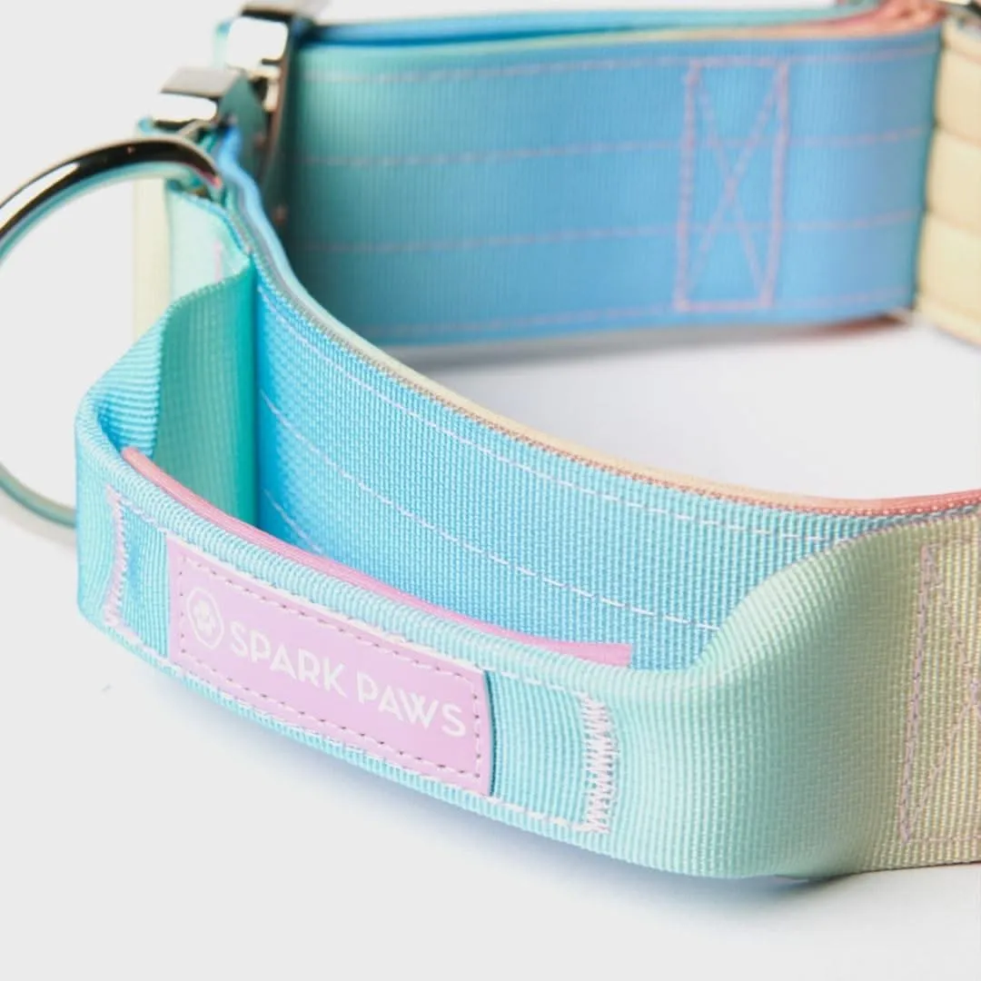 Comfort Control Collar - Pastel Icing