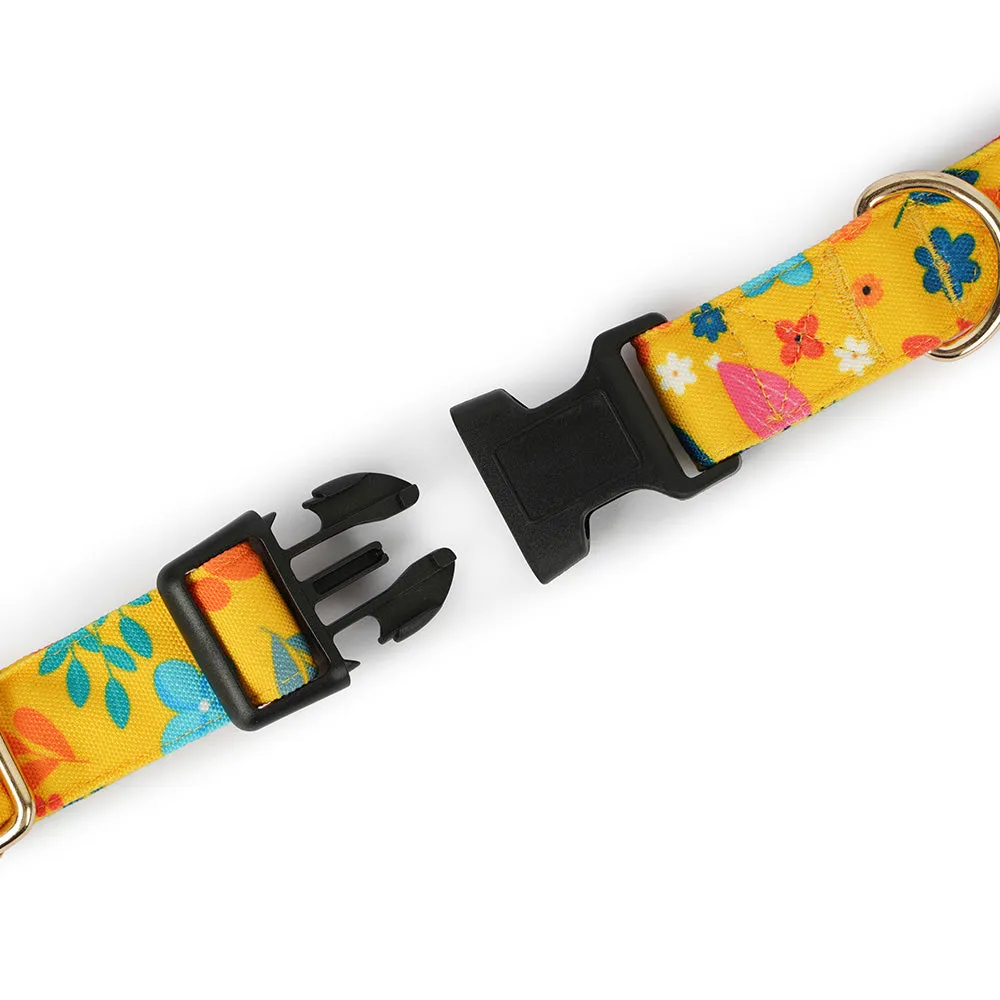 Dear Pet Blooming Yellow Dog Collar & Leash Set