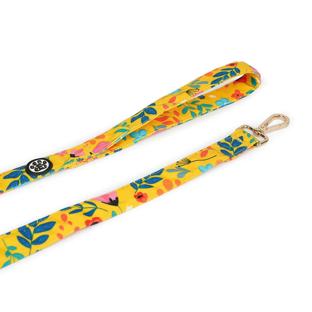 Dear Pet Blooming Yellow Dog Collar & Leash Set