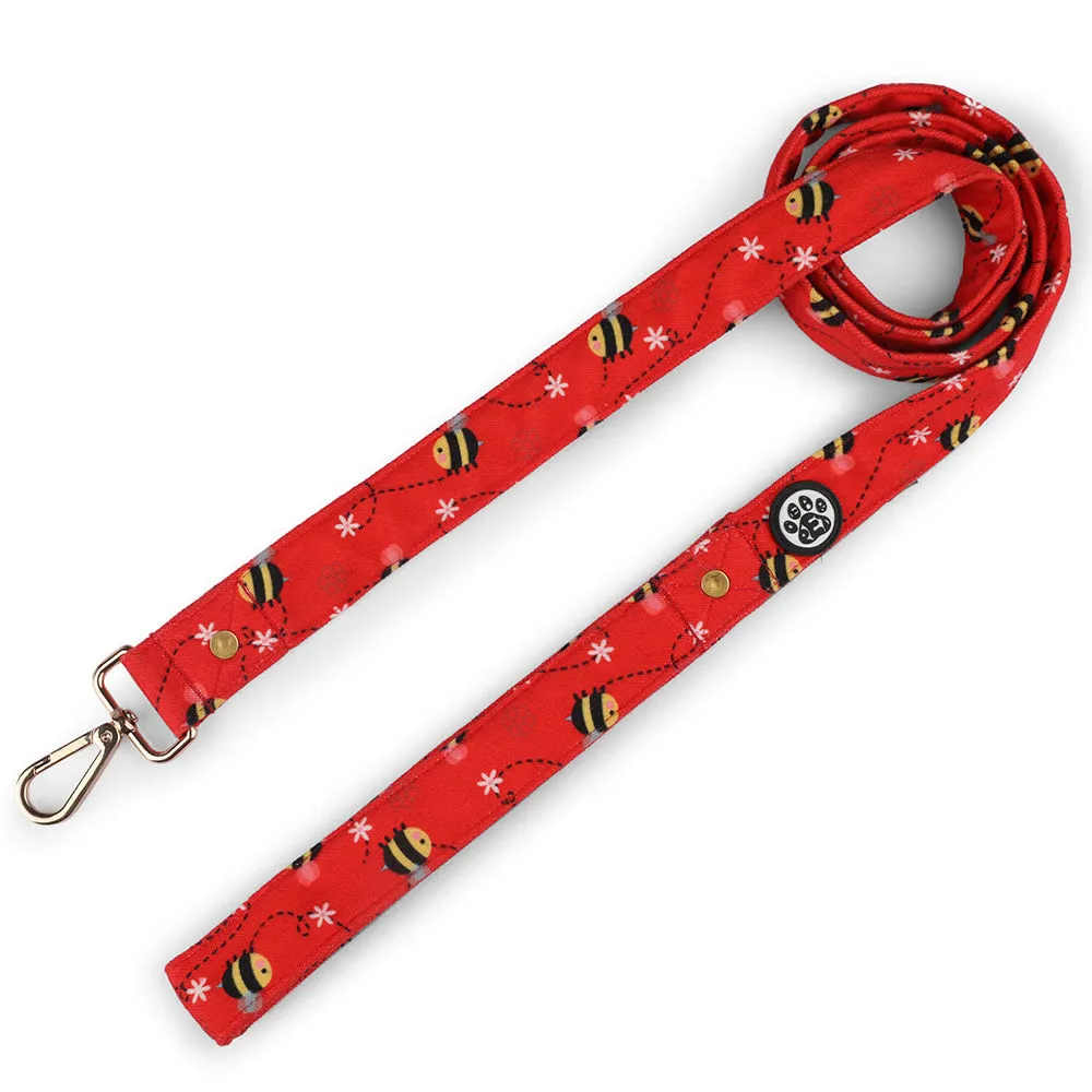 Dear Pet BusyBee Dog Collar & Leash Set