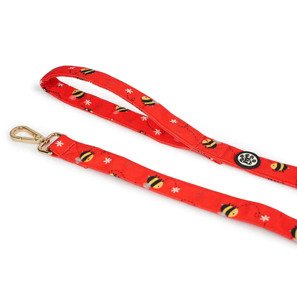 Dear Pet BusyBee Dog Collar & Leash Set