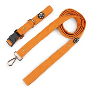 Dear Pet Classic Mustard Dog Collar & Leash Set