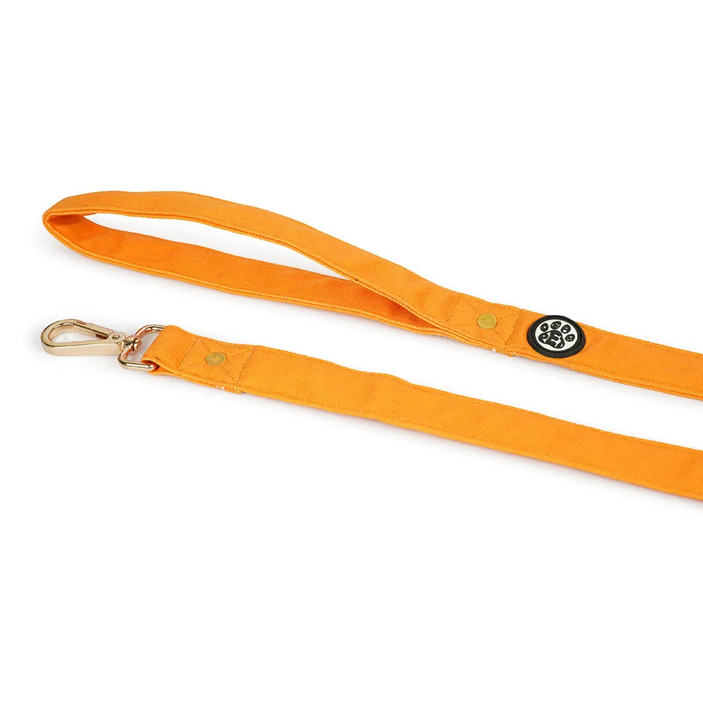 Dear Pet Classic Mustard Dog Collar & Leash Set