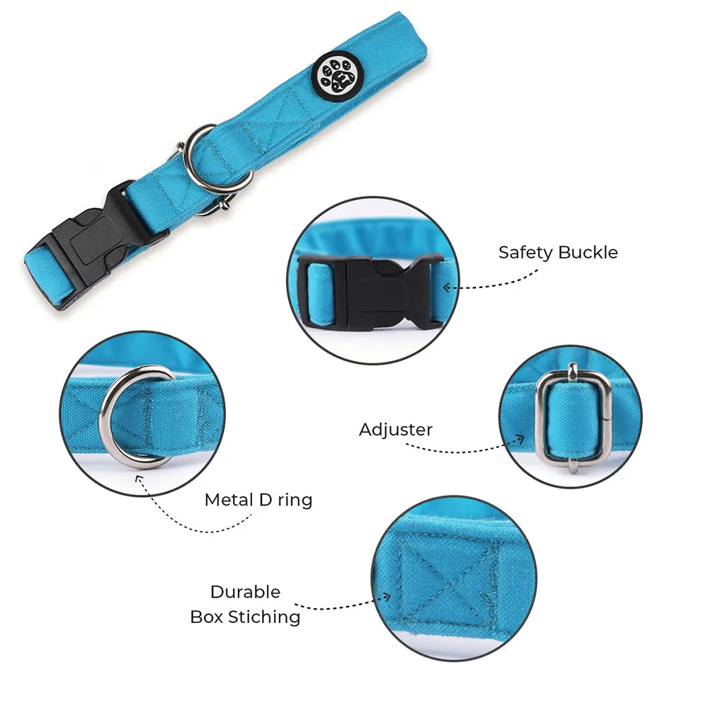 Dear Pet Classic Sky Blue Dog Collar & Leash Set