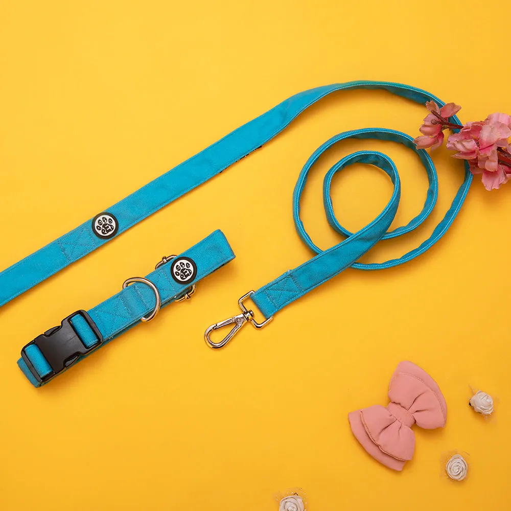 Dear Pet Classic Sky Blue Dog Collar & Leash Set