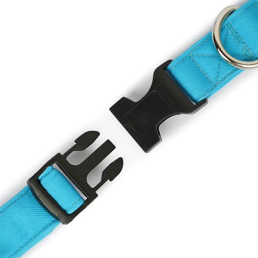 Dear Pet Classic Sky Blue Dog Collar & Leash Set