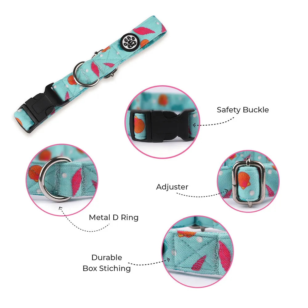 Dear Pet Dancing Pearls Dog Collar & Leash Set