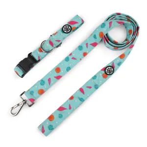 Dear Pet Dancing Pearls Dog Collar & Leash Set