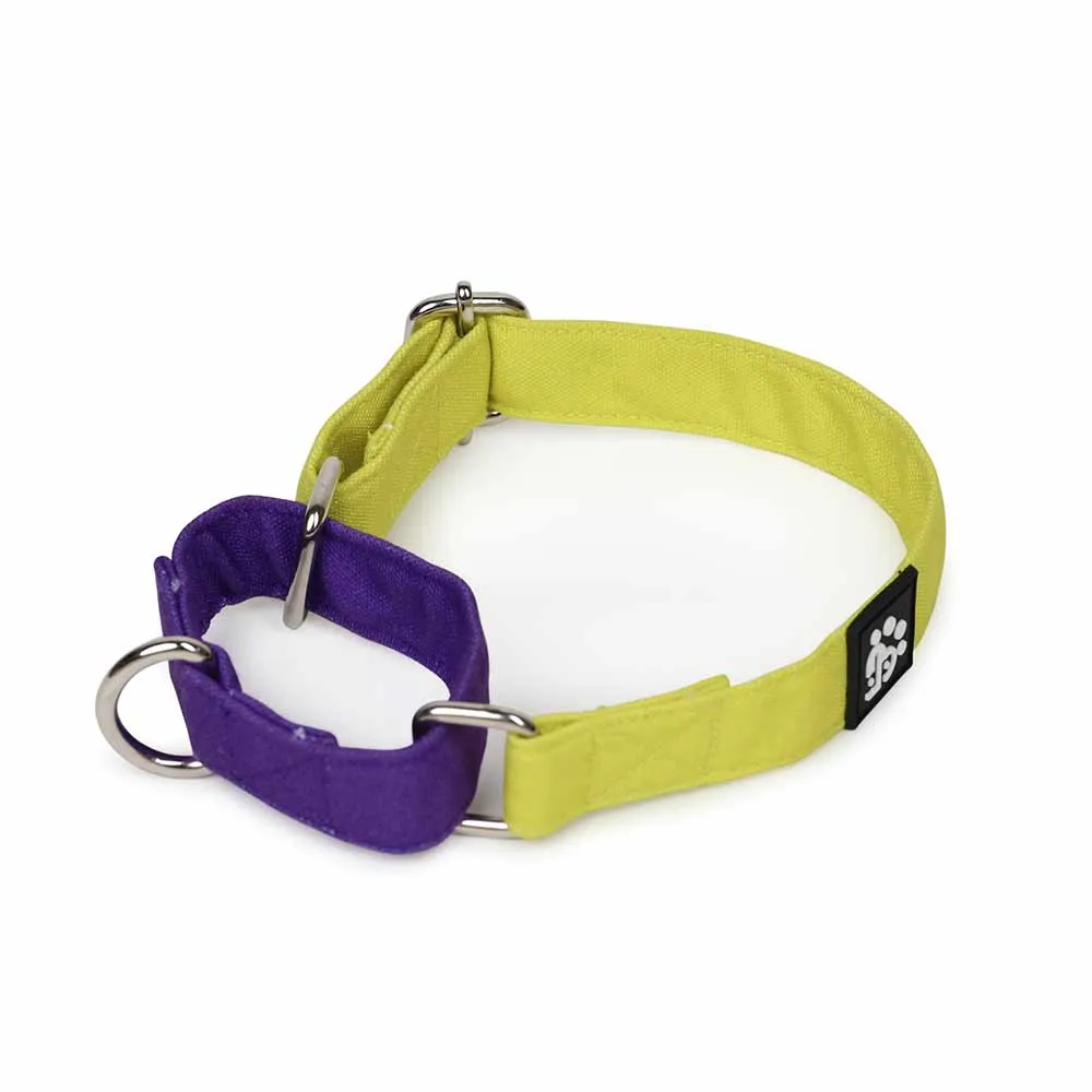 Dear Pet Double Trouble Martingale Lime & Purple Dog Collar