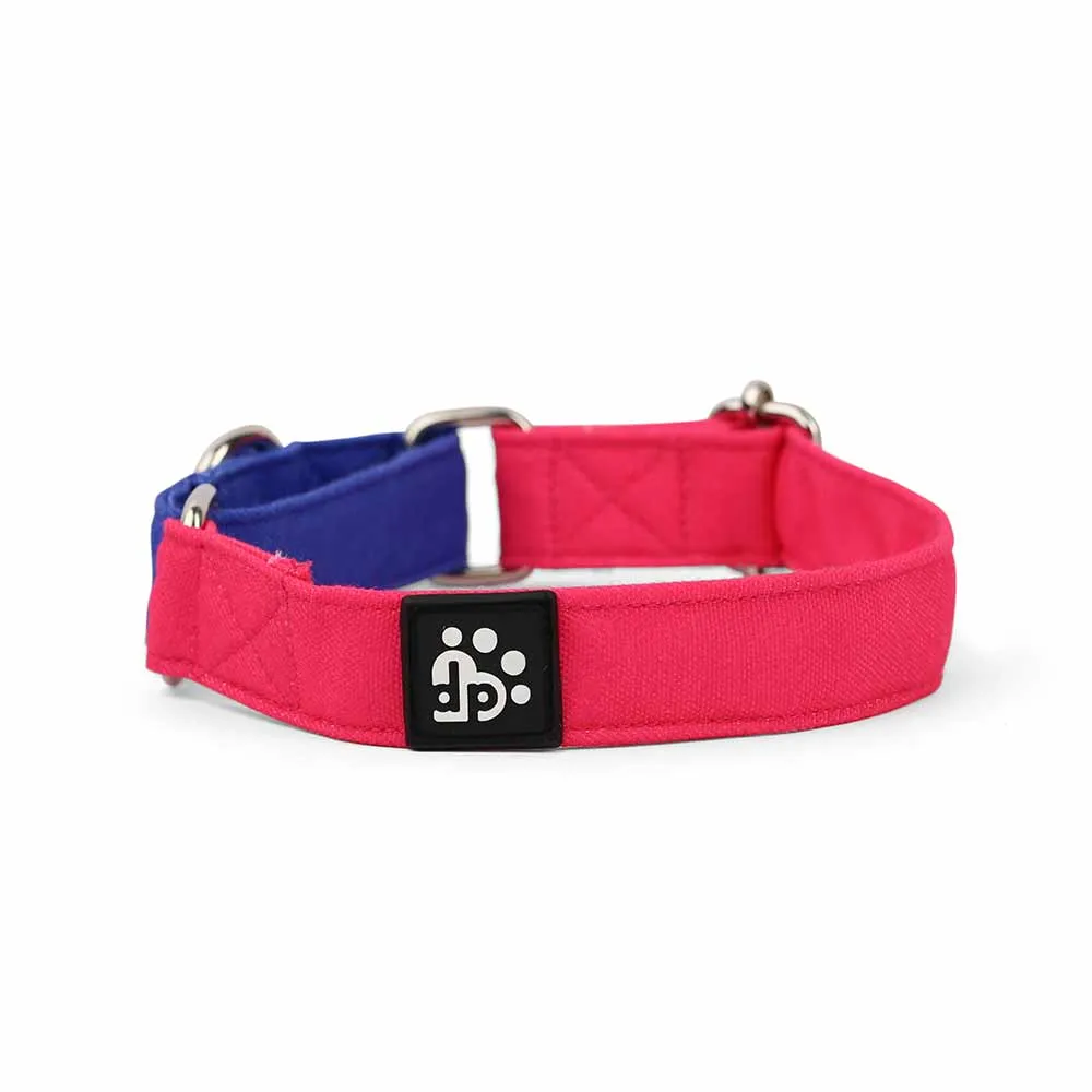 Dear Pet Double Trouble Martingale Pink & Blue Dog Collar