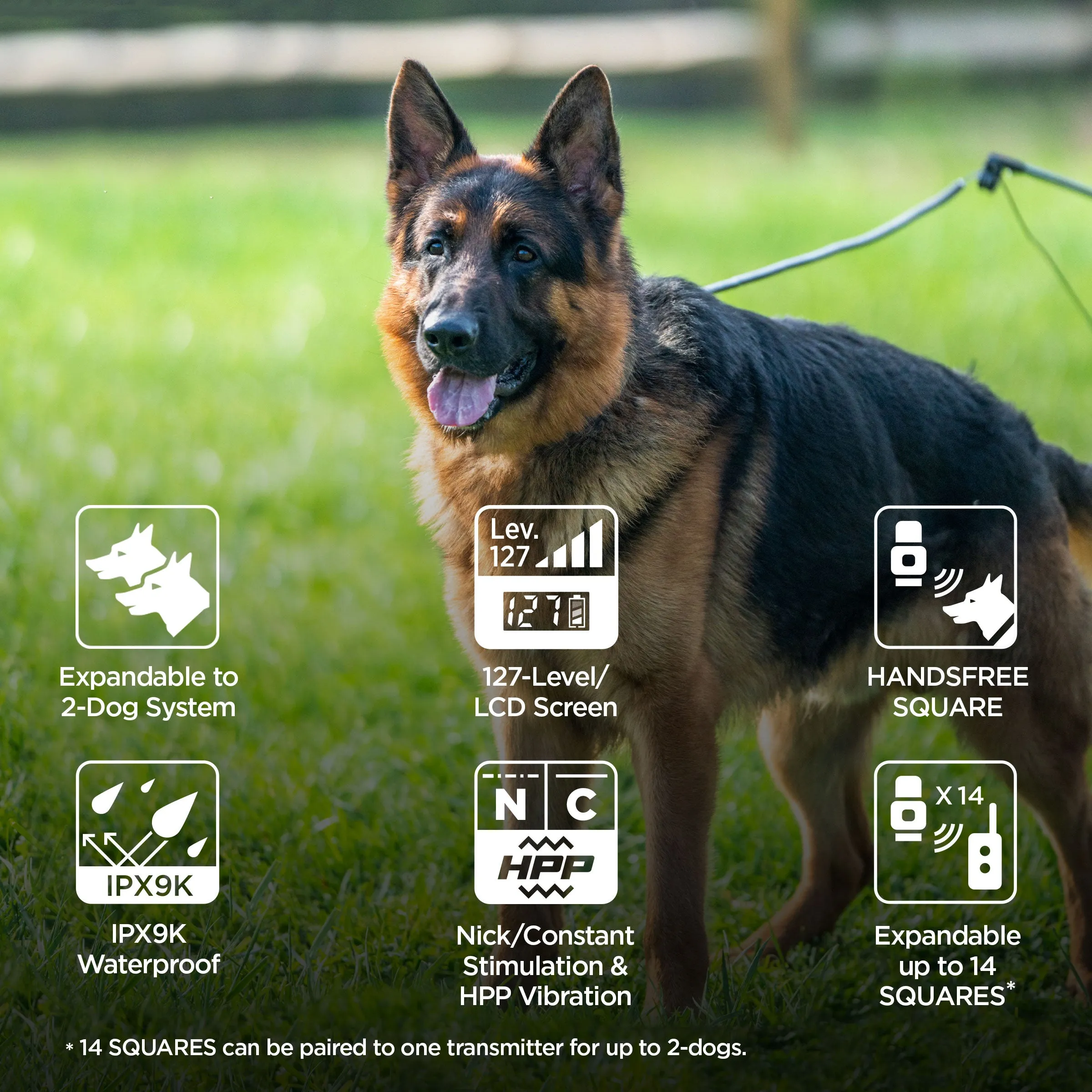 Dogtra ARC Handsfree Plus E-Collar System