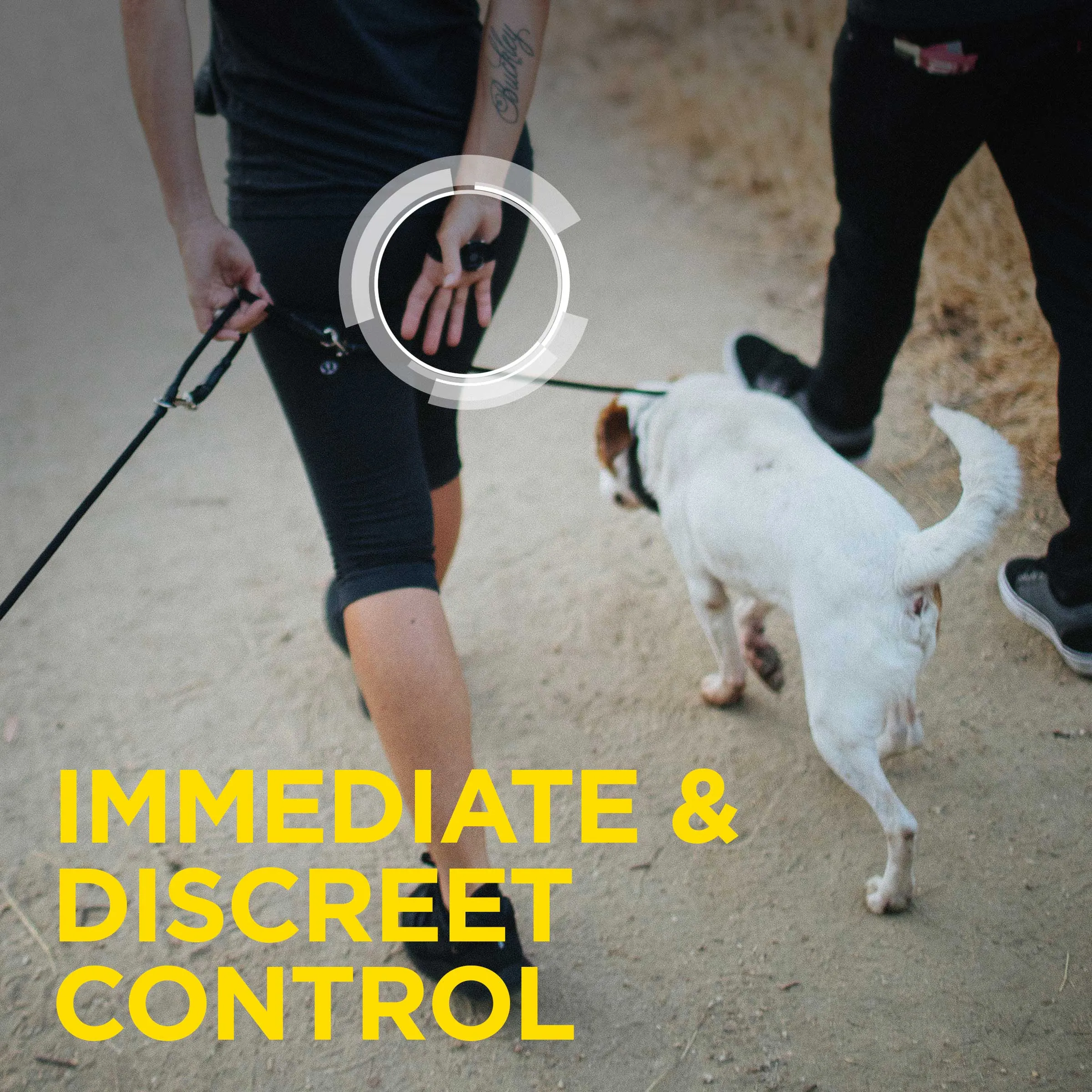 Dogtra ARC Handsfree Plus E-Collar System