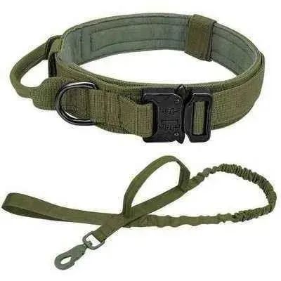 Elite Guardian Military Dog Collar & Bungee Leash Set