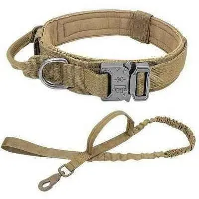 Elite Guardian Military Dog Collar & Bungee Leash Set