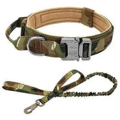 Elite Guardian Military Dog Collar & Bungee Leash Set