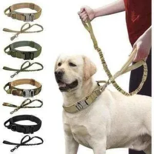 Elite Guardian Military Dog Collar & Bungee Leash Set