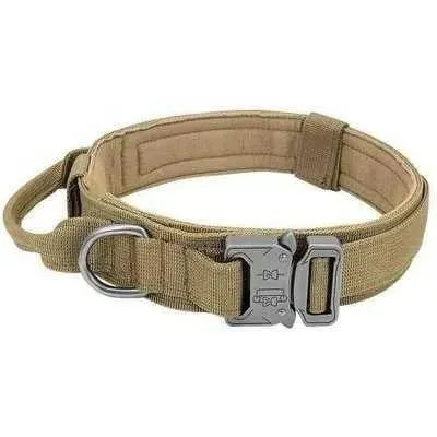 Elite Guardian Military Dog Collar & Bungee Leash Set