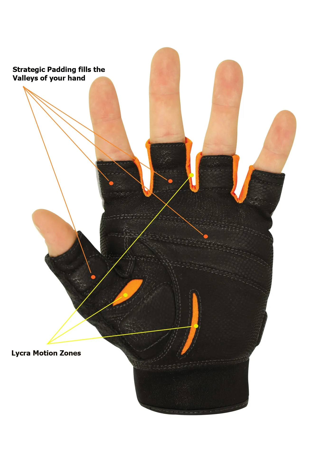 Men's Fitness Half Finger