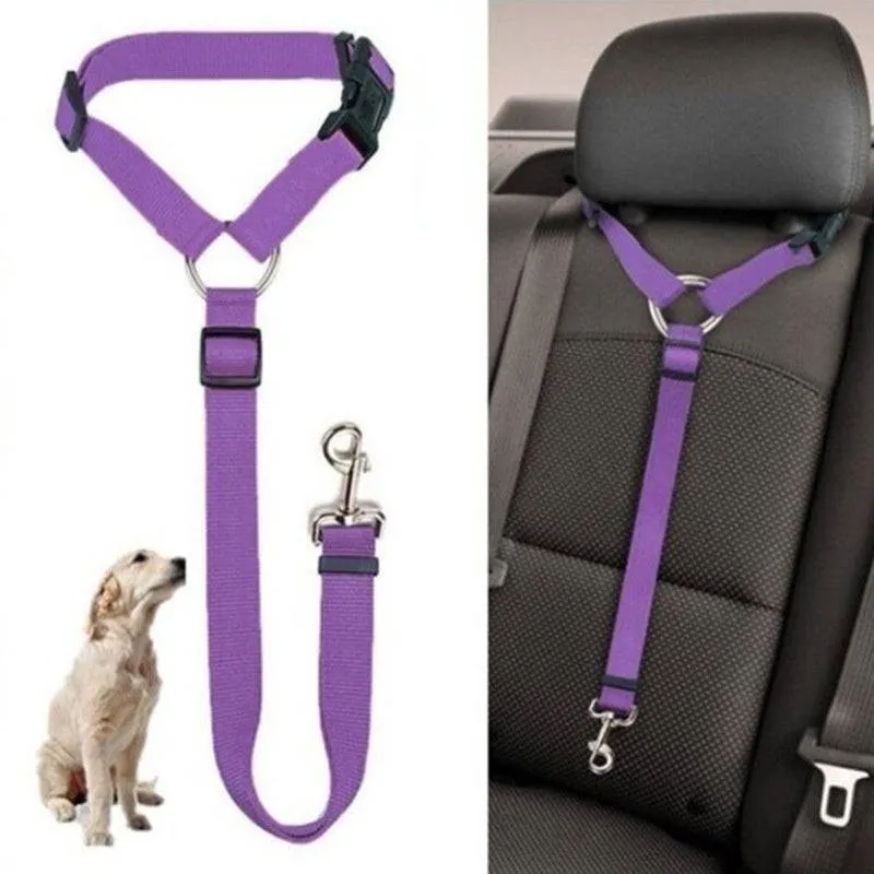 Pet  Car Seat Belt  - BackSeat Safety Belt Adjustable protect your pet