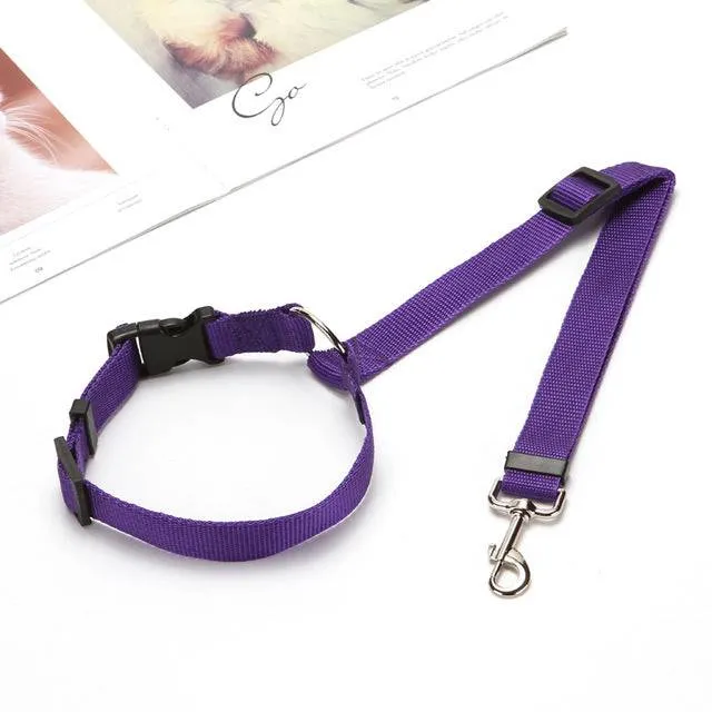 Pet  Car Seat Belt  - BackSeat Safety Belt Adjustable protect your pet