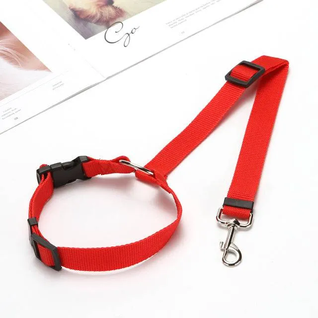 Pet  Car Seat Belt  - BackSeat Safety Belt Adjustable protect your pet