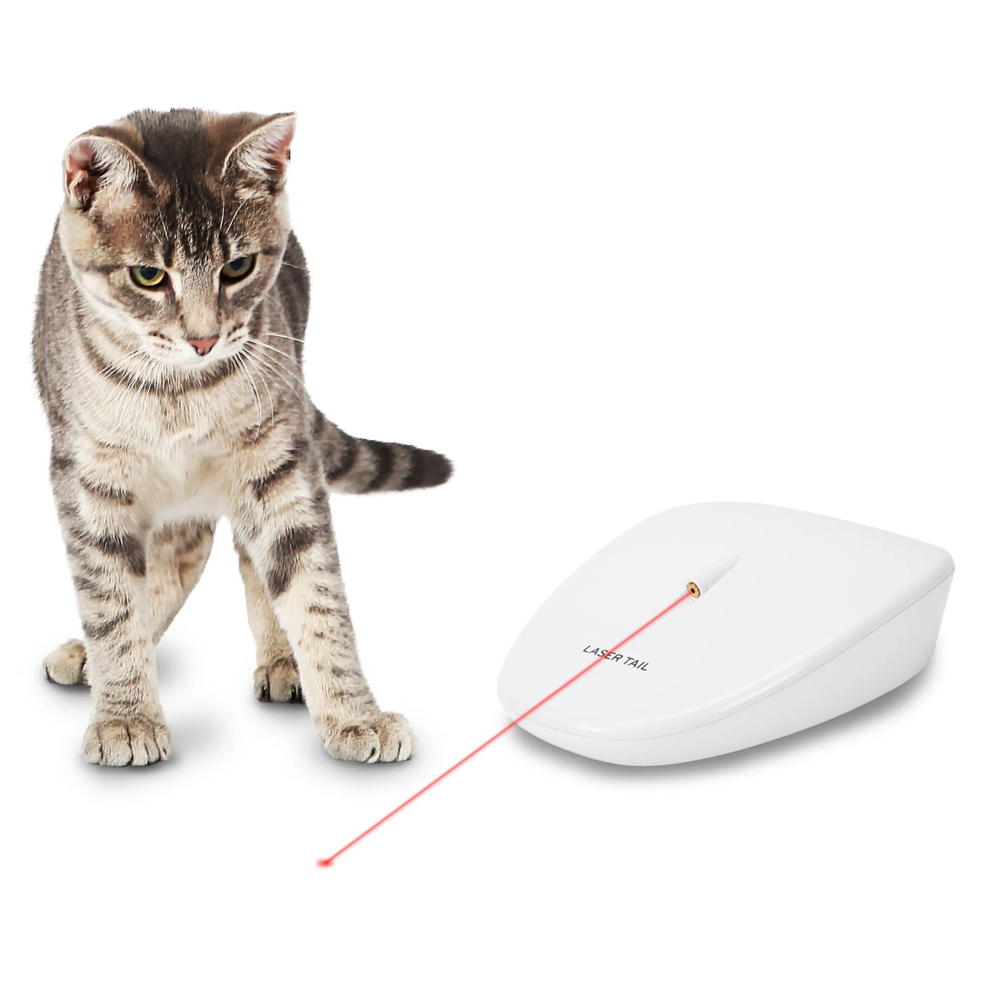 PetSafe Laser Tail Automatic Laser Light Cat Toy