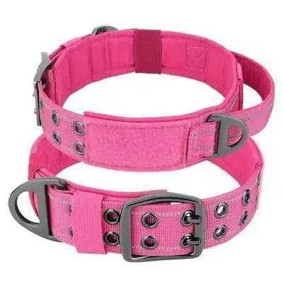 Royal Canine Elegance Tactical Dog Training Collar