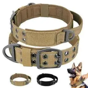 Royal Canine Elegance Tactical Dog Training Collar