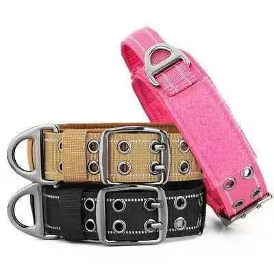 Royal Canine Elegance Tactical Dog Training Collar