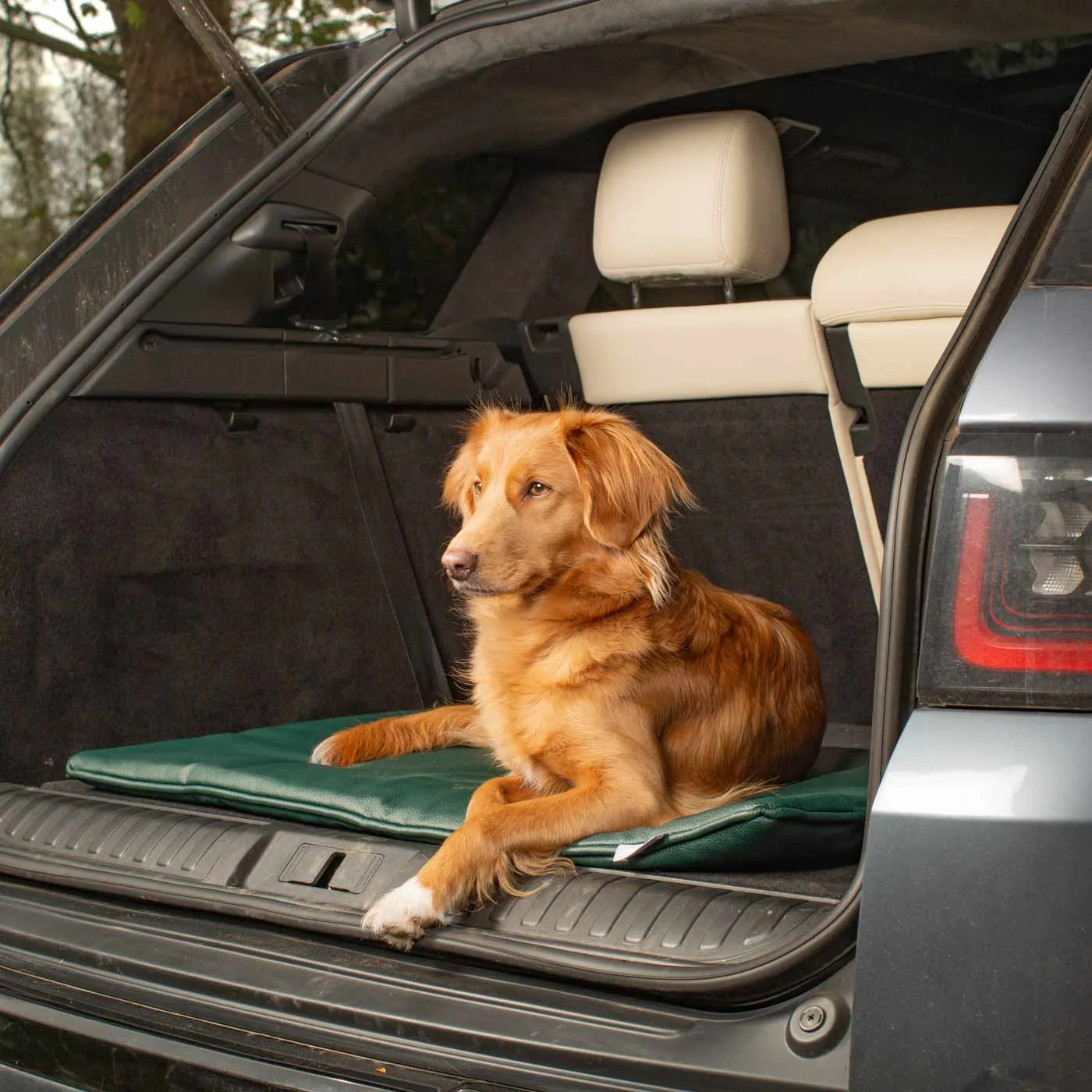 Travel Mat in Forest Rhino Tough Faux Leather by Lords & Labradors