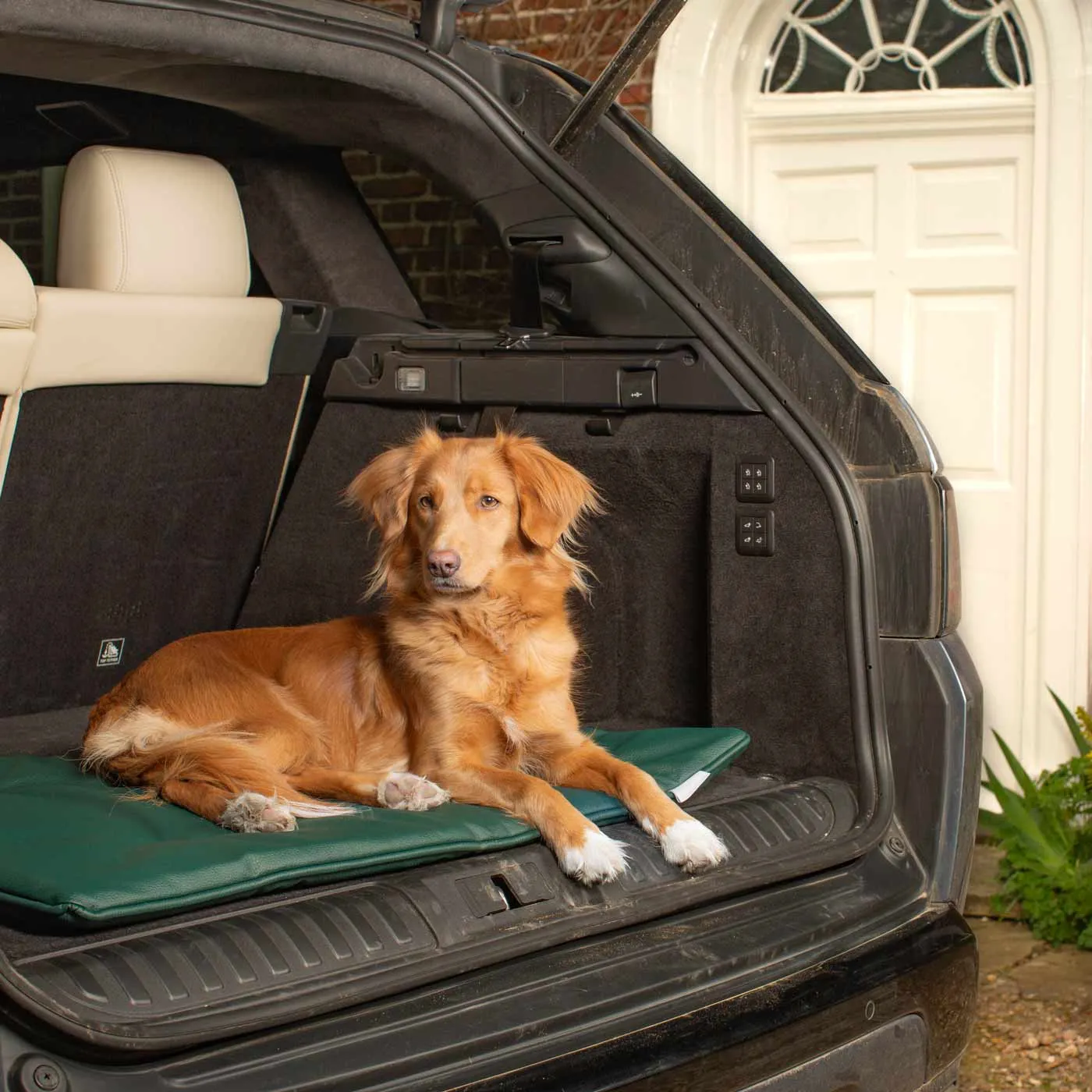 Travel Mat in Forest Rhino Tough Faux Leather by Lords & Labradors