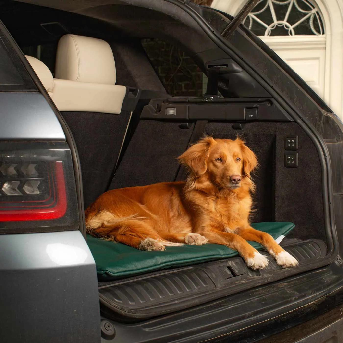 Travel Mat in Forest Rhino Tough Faux Leather by Lords & Labradors