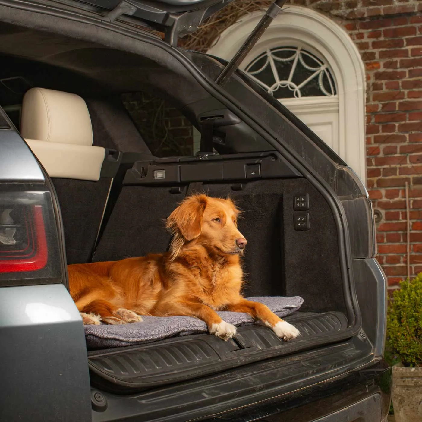 Travel Mat in Oxford Herringbone Tweed by Lords & Labradors