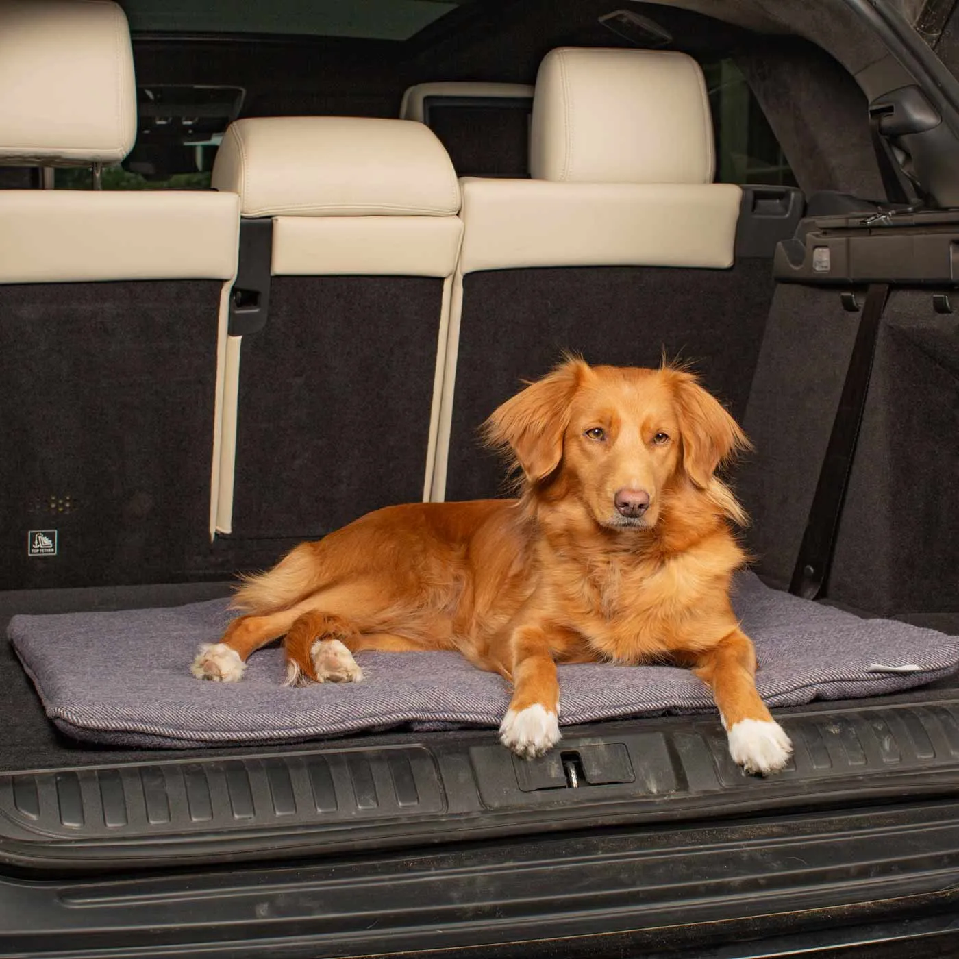 Travel Mat in Oxford Herringbone Tweed by Lords & Labradors