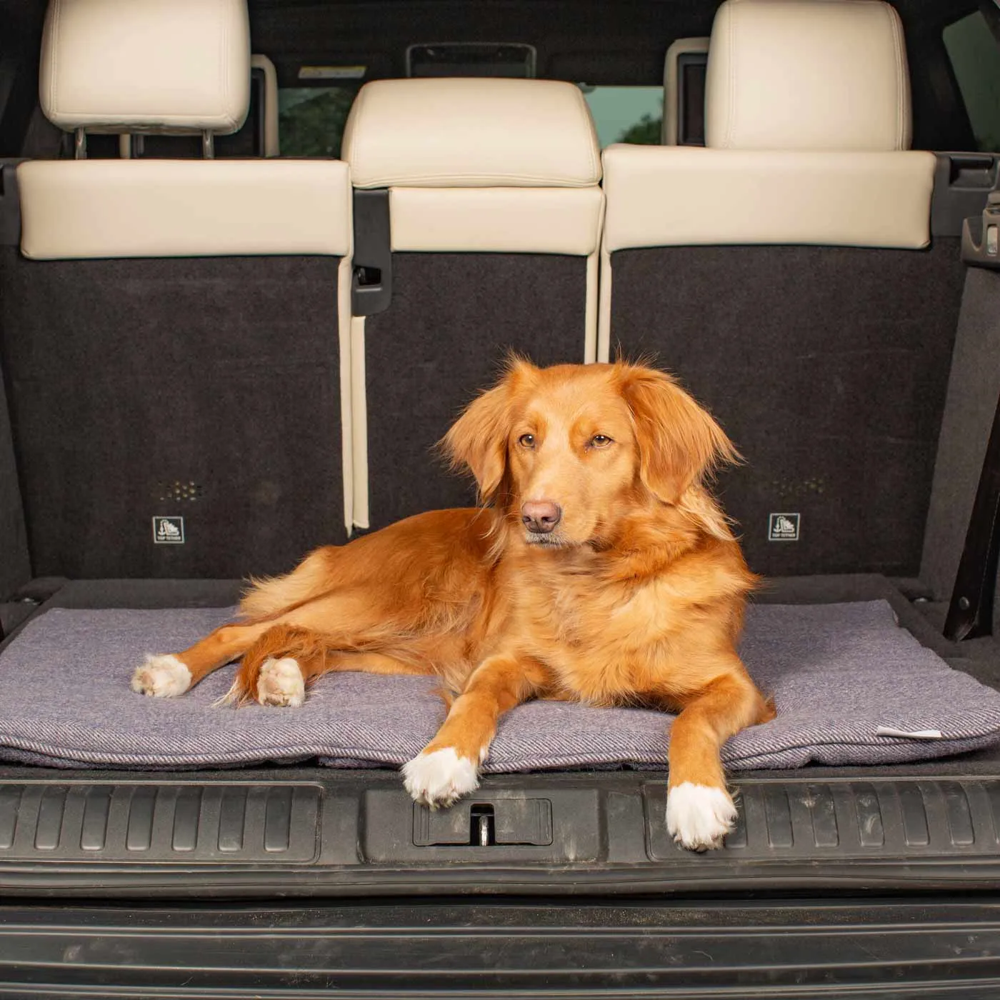 Travel Mat in Oxford Herringbone Tweed by Lords & Labradors