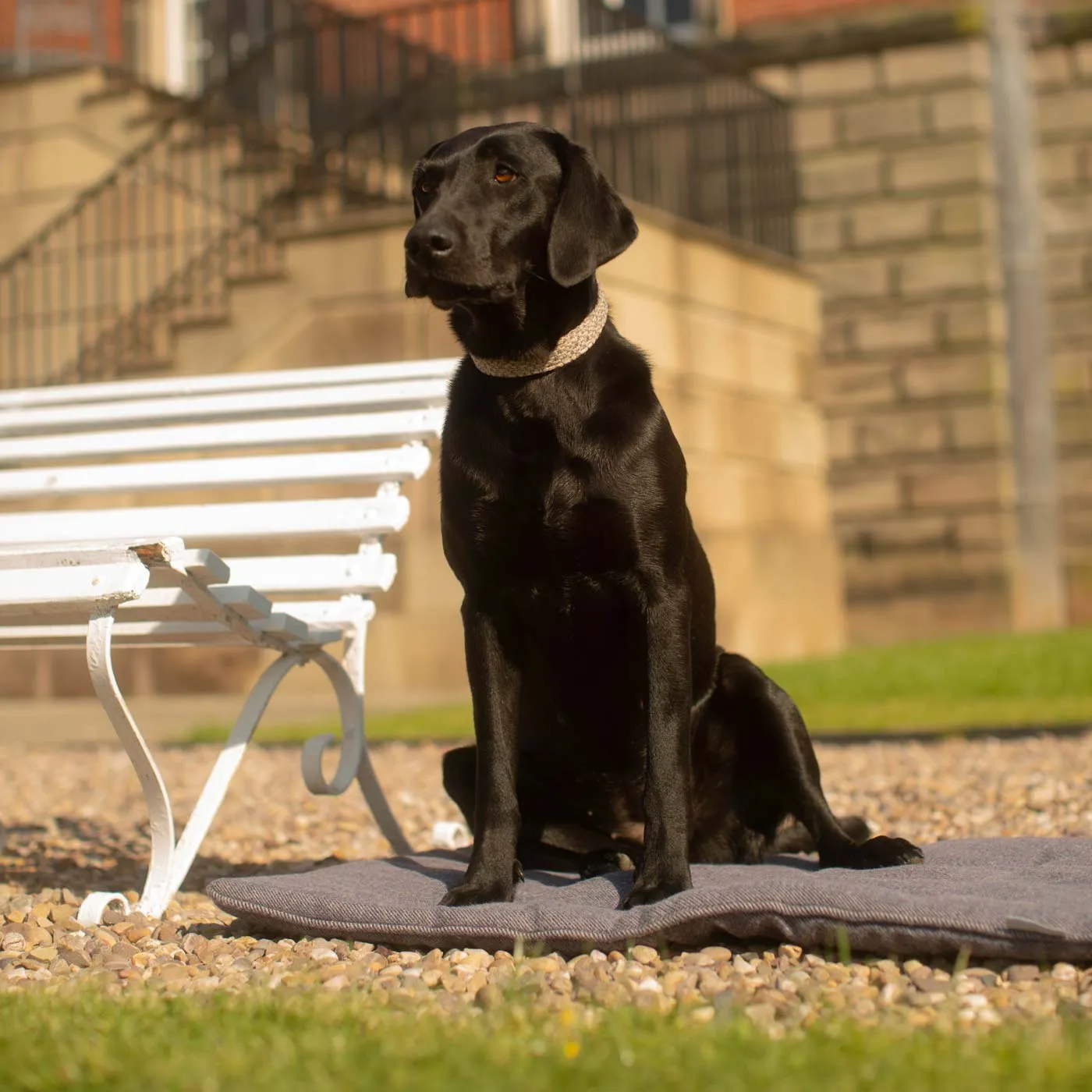 Travel Mat in Oxford Herringbone Tweed by Lords & Labradors