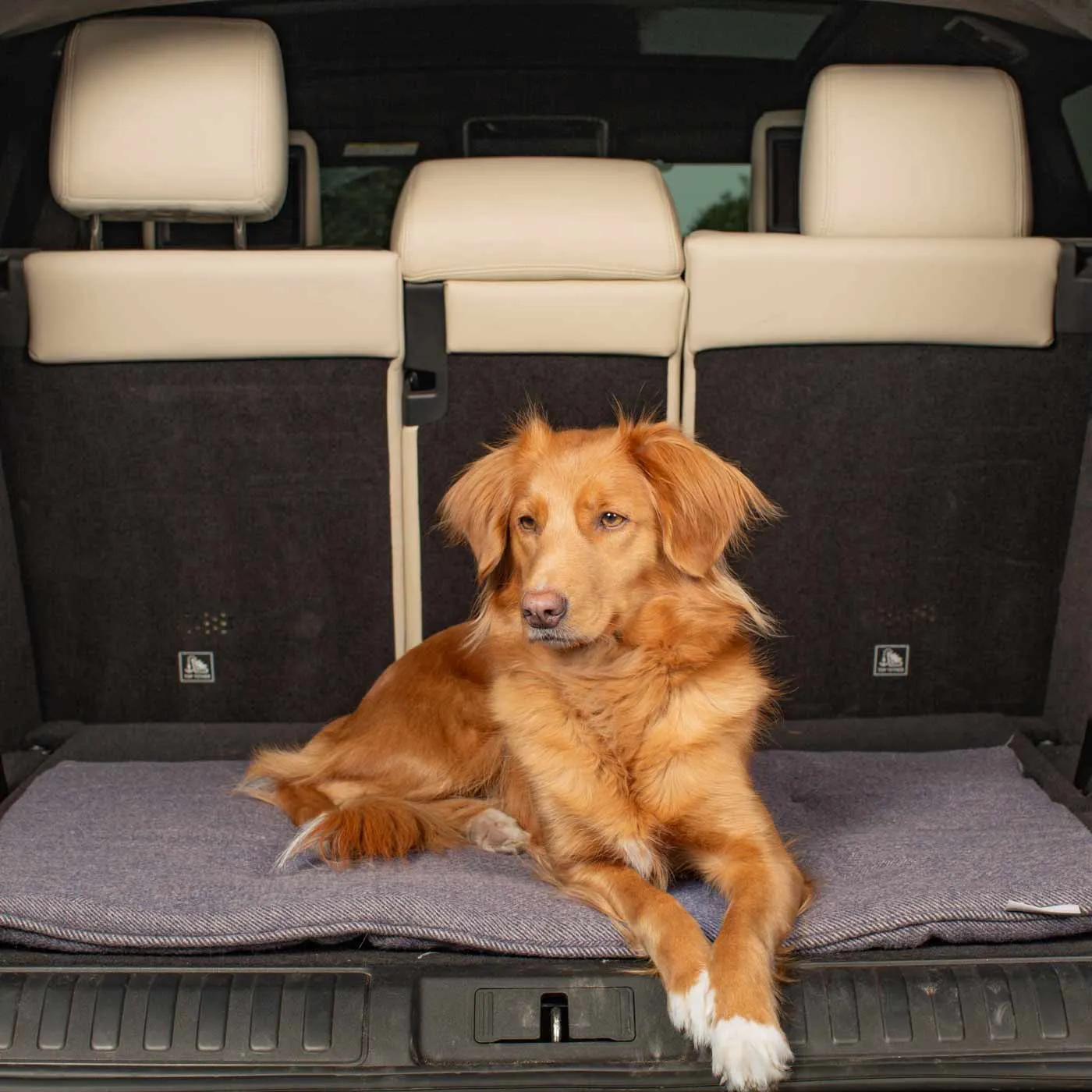 Travel Mat in Oxford Herringbone Tweed by Lords & Labradors