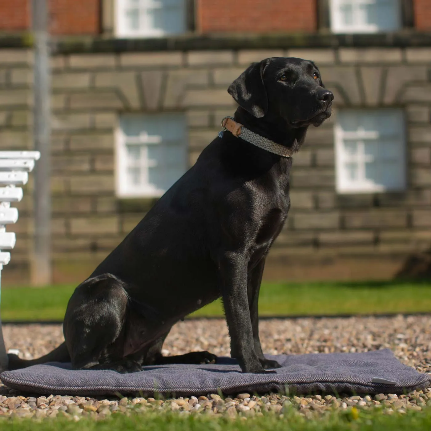 Travel Mat in Oxford Herringbone Tweed by Lords & Labradors