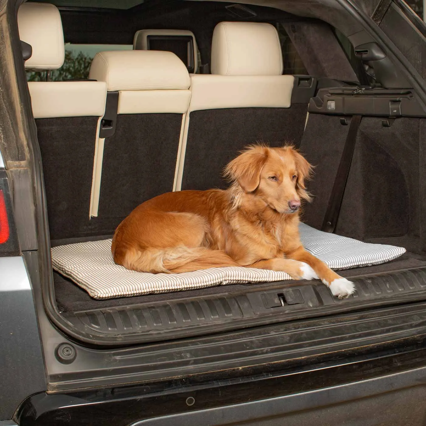 Travel Mat in Regency Stripe by Lords & Labradors