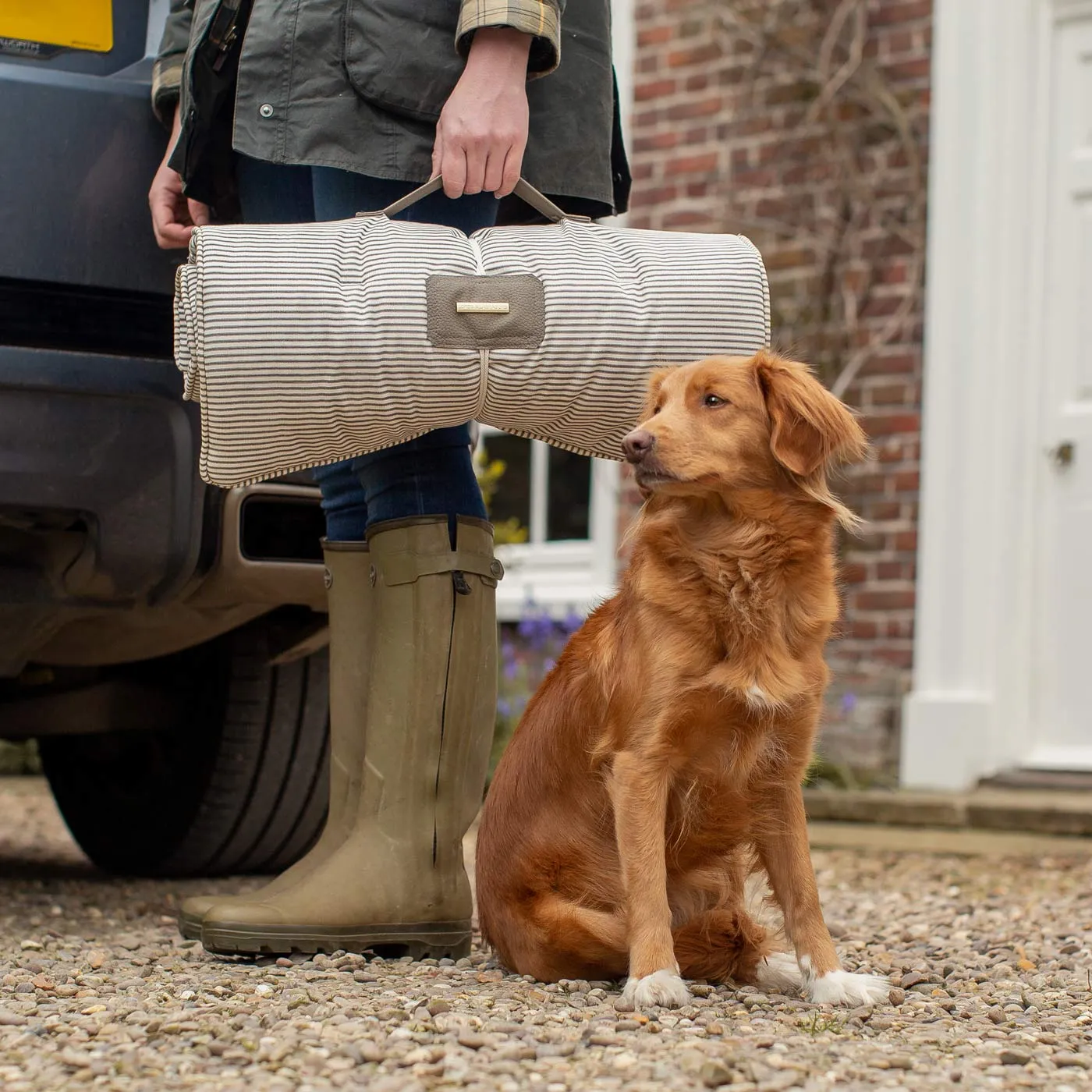 Travel Mat in Regency Stripe by Lords & Labradors